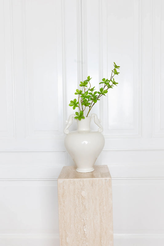 Enkianthus Perulatus Bladeren Groen