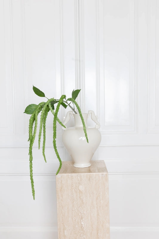 Green Three Forks Amaranthus Flower