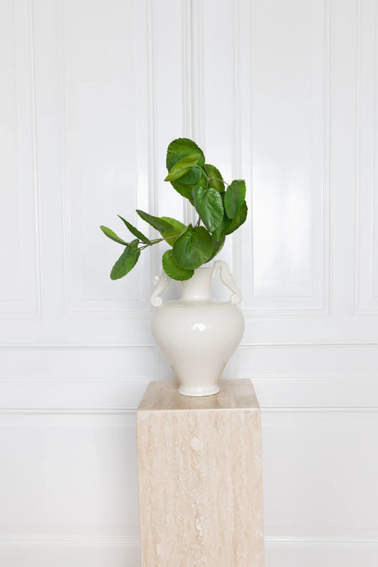 Pruim Aralia bladeren