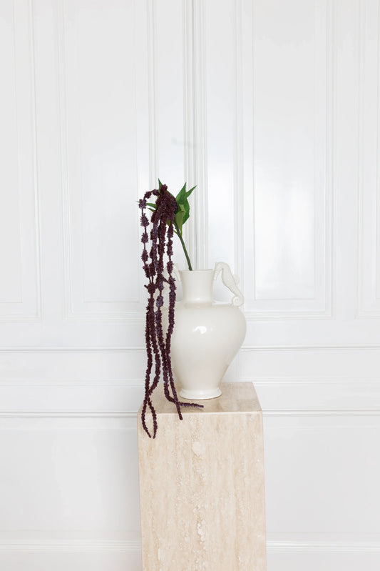 Amaranthus Six-headed Flower Purple