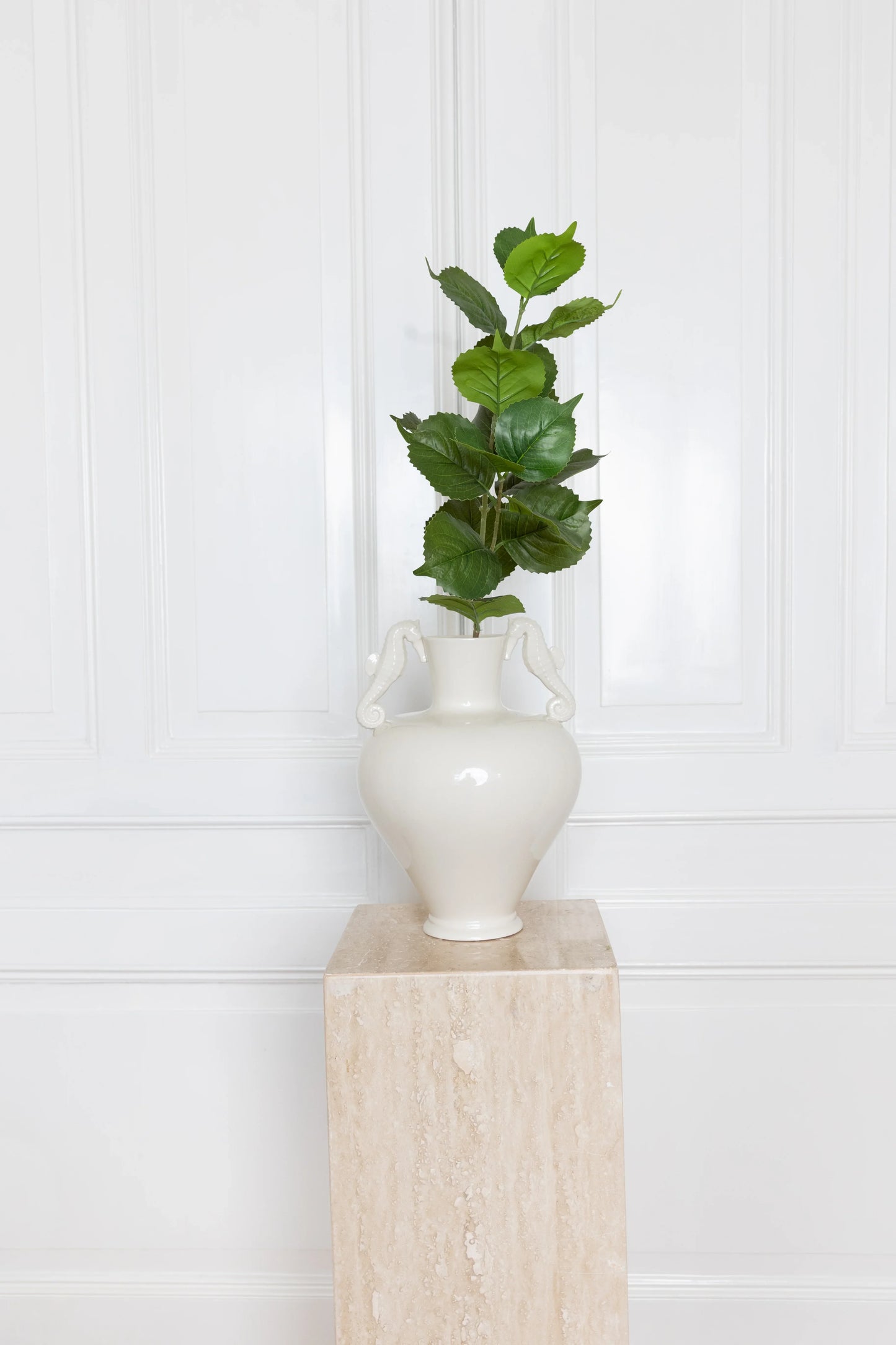 Hortensia bladeren