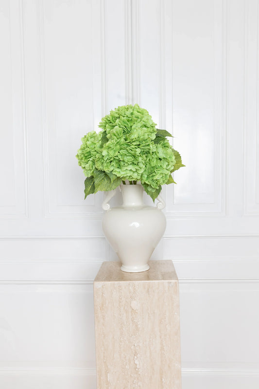 Hortensia Bloem Groen
