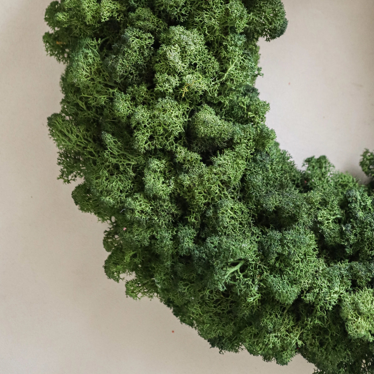 The Moss Wreath