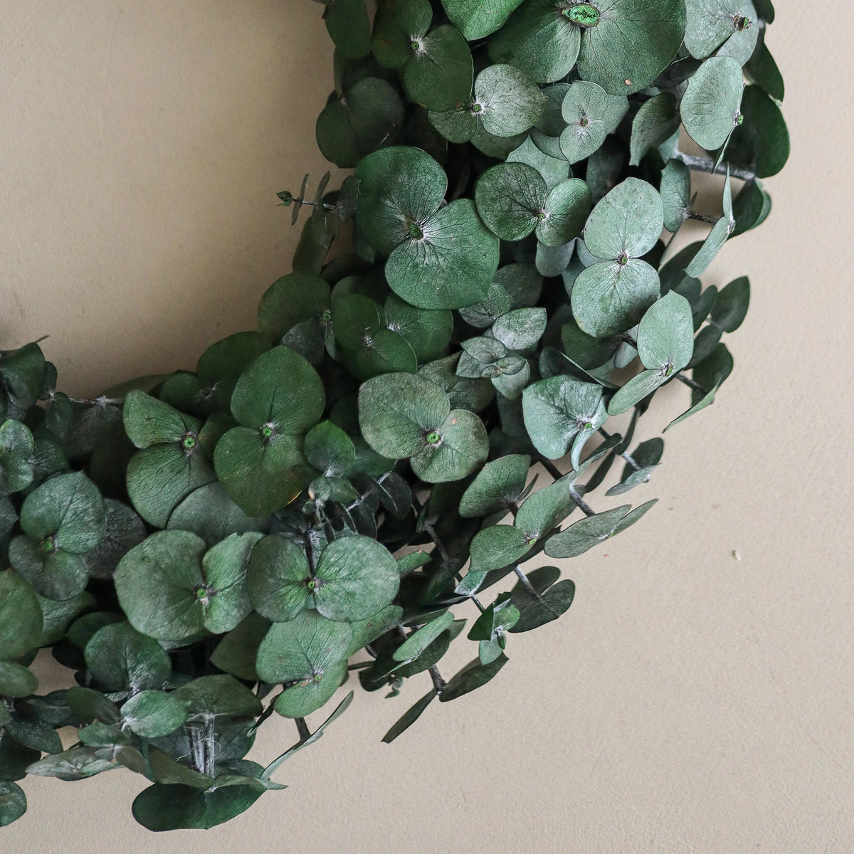 The Eucalyptus Wreath
