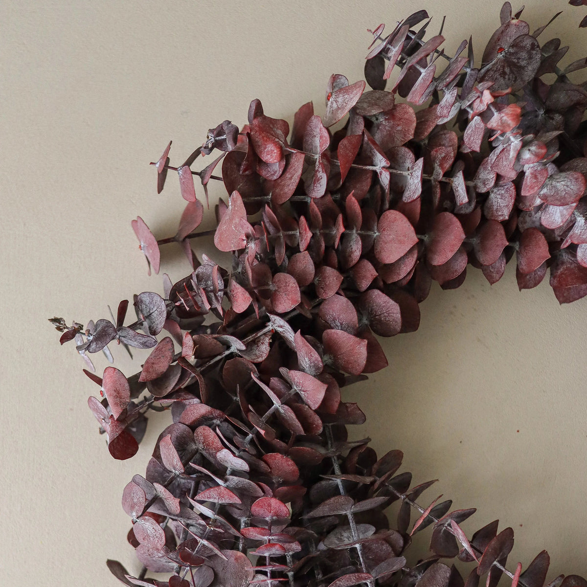 The Eucalyptus Wreath