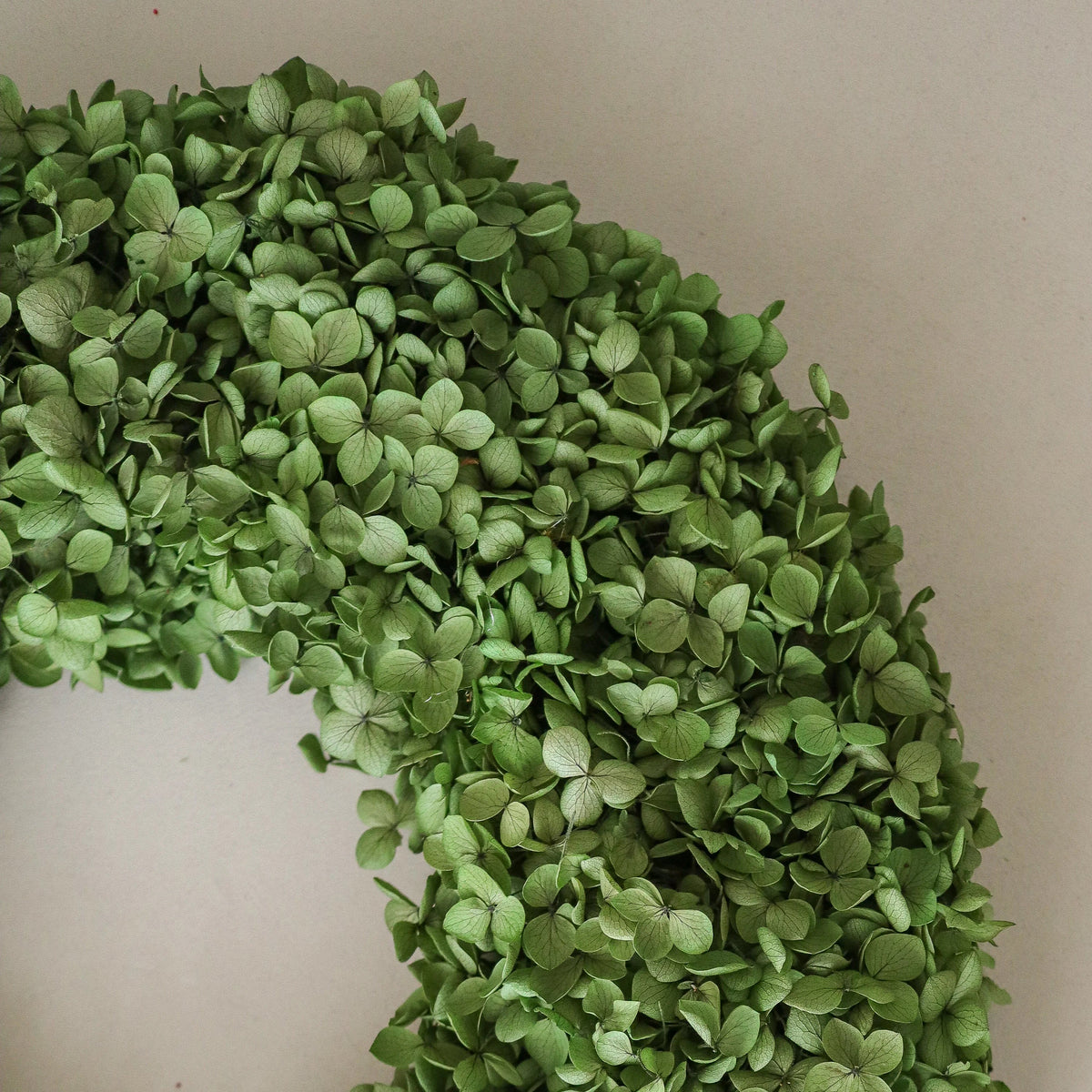 The Hydrangea Wreath