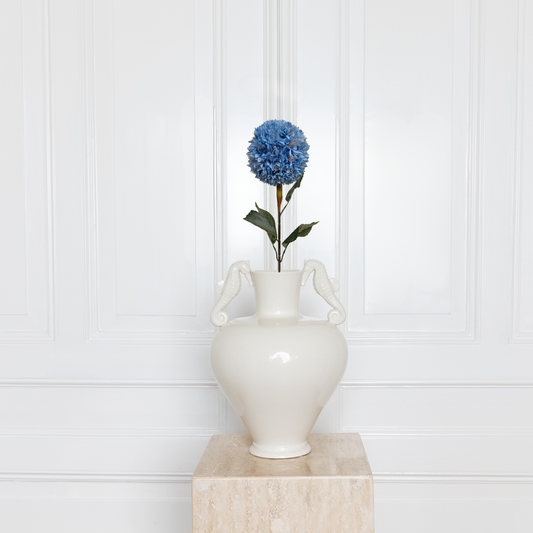 Allium Bulbs Large Blue