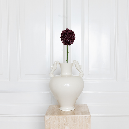 Allium Bulbs Large Burgundy