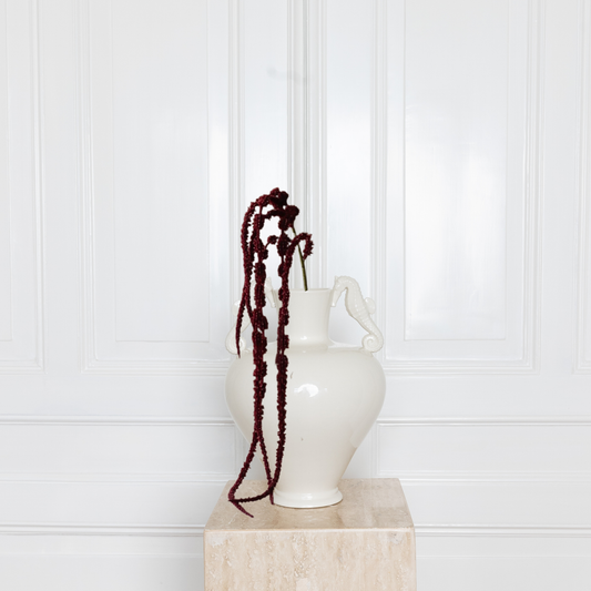 Amaranthus Six-headed Flower Burgundy