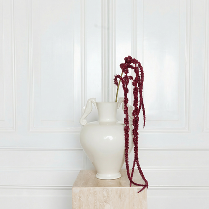 Amaranthus Six-headed Flower Burgundy