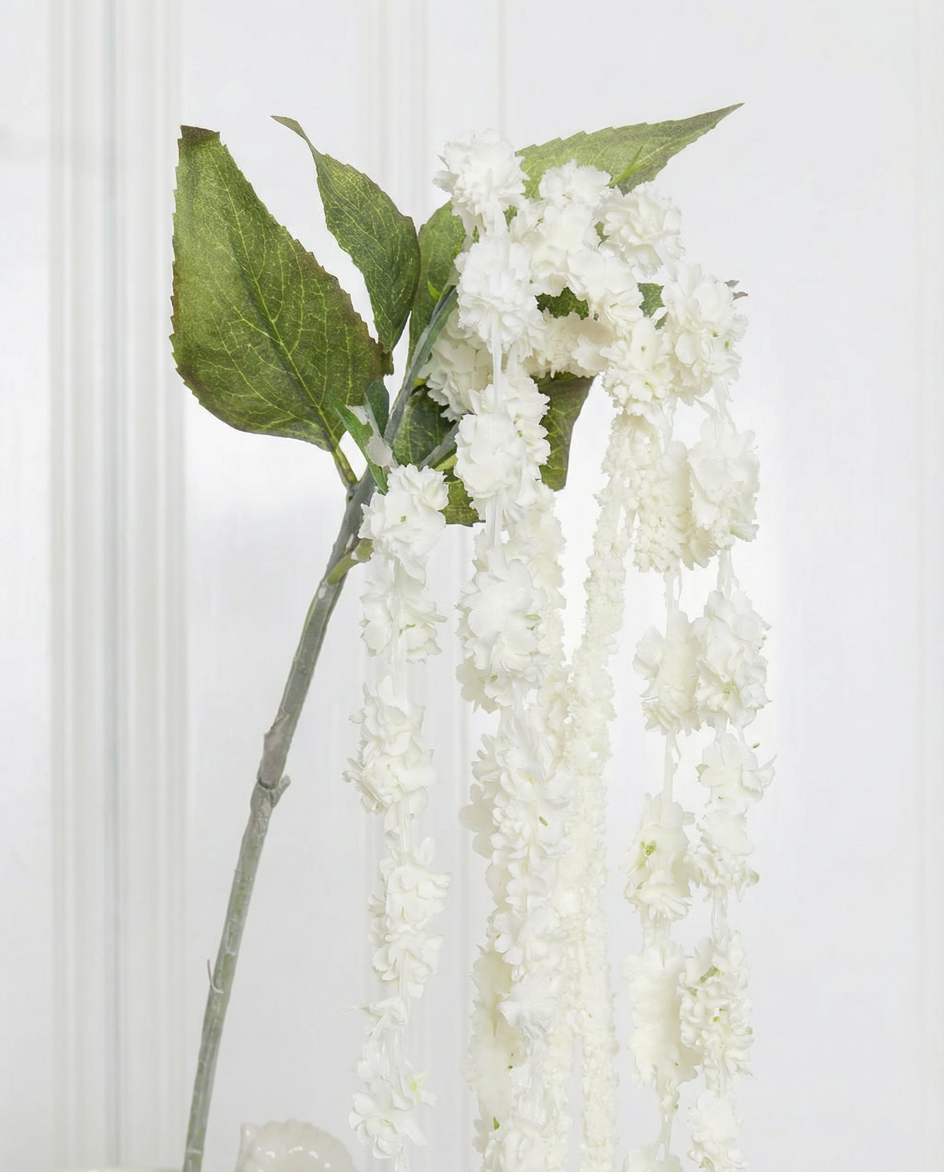 Amaranthus six-headed flower white zoom in