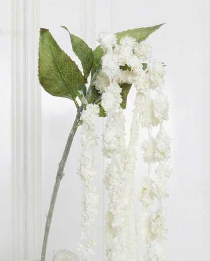 Amaranthus six-headed flower white zoom in