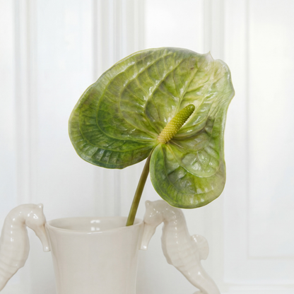 Anthurium Flower Light Green zoom in
