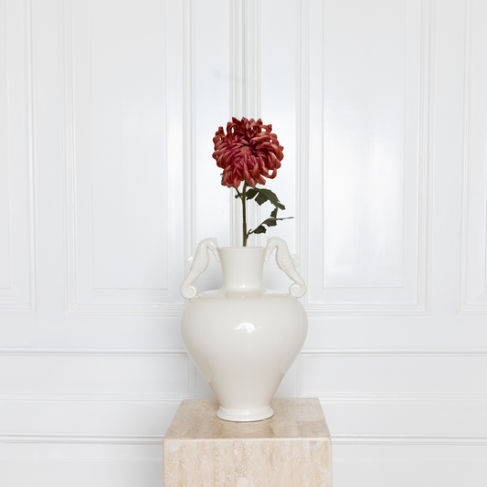 Chrysanthemum Flower Light Red