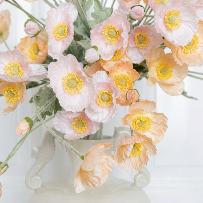 Poppy Sorbet