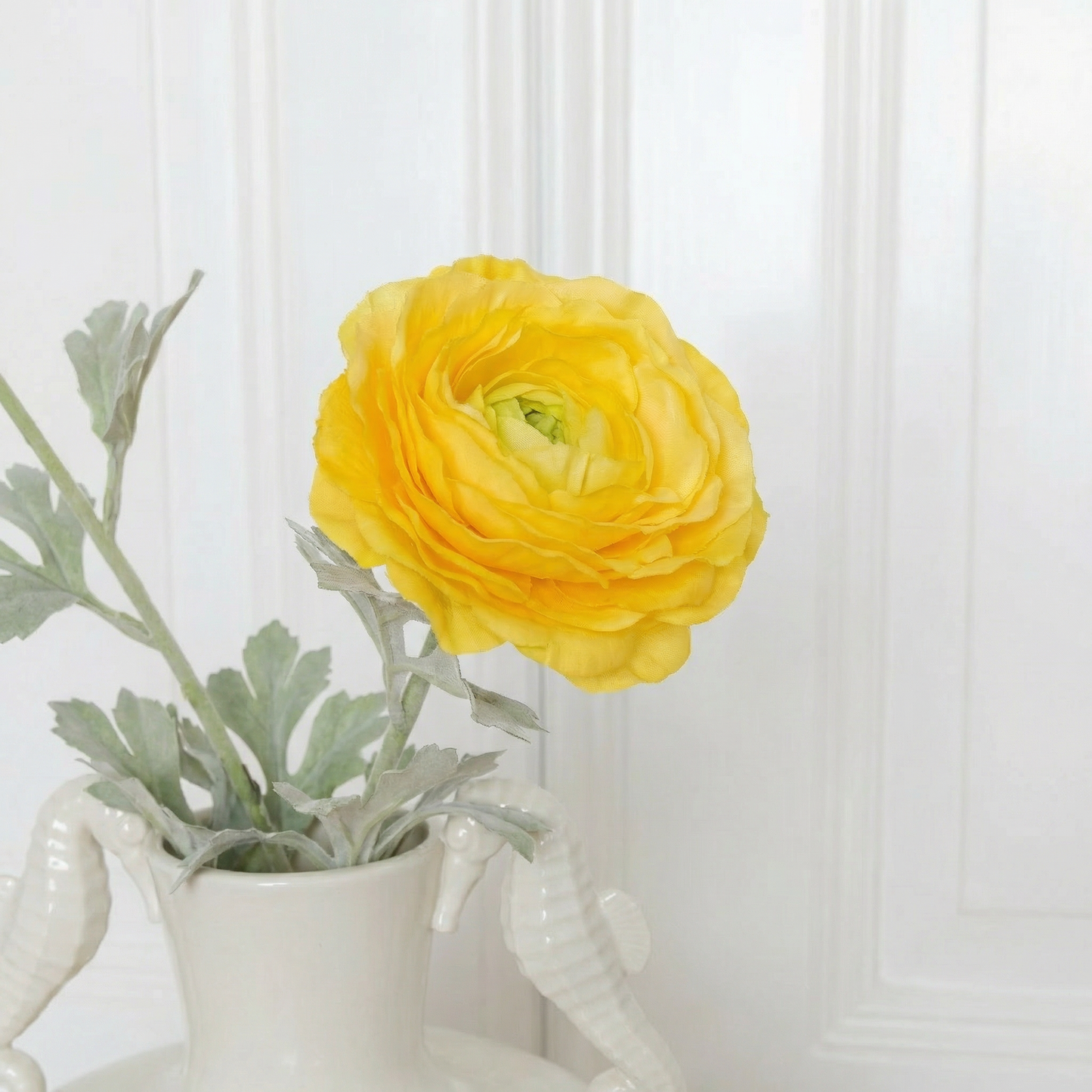 Ranuncules Flower Yellow