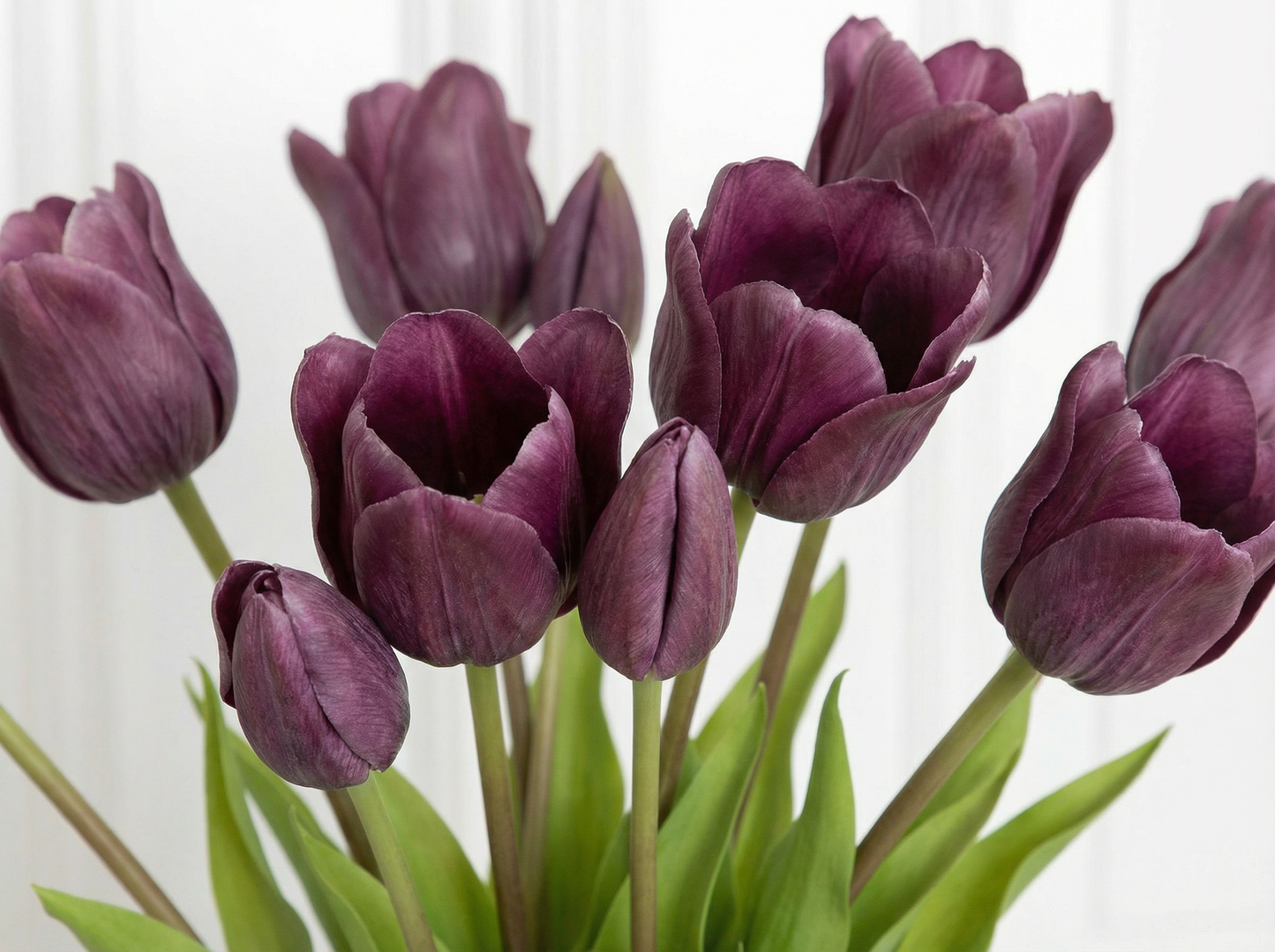 Tulip Triumph Bouquet Purple