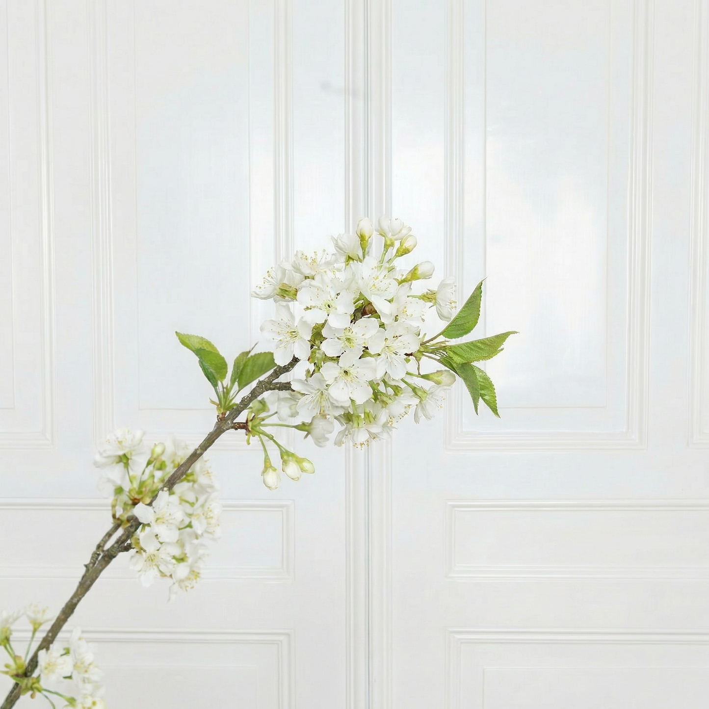 Snow Willow Branch White