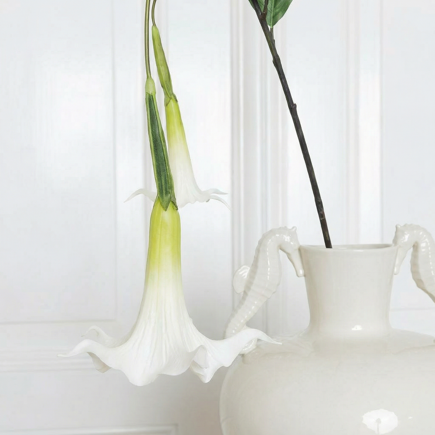 Datura Stramonium Flower White