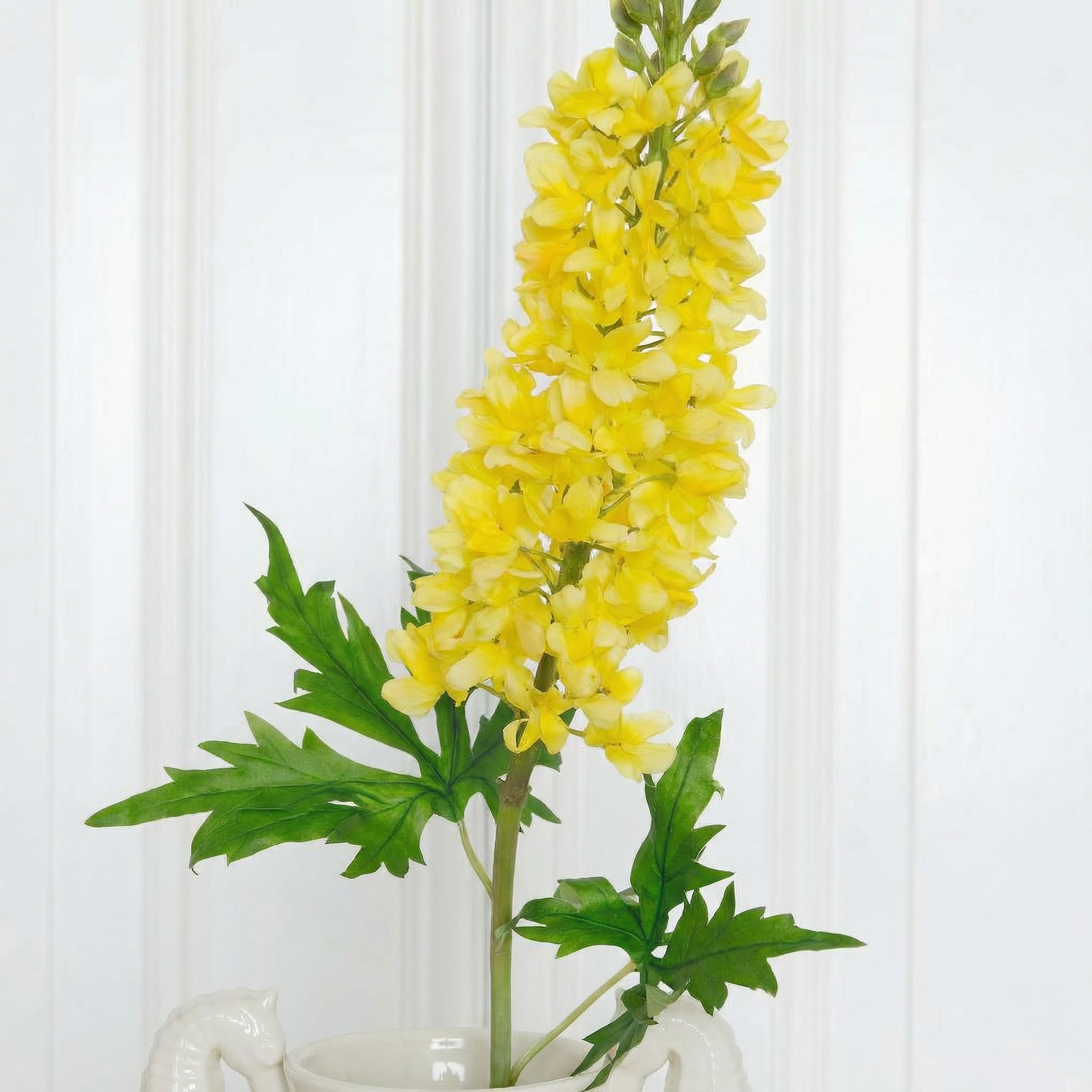 Delphinium Foxtail Grass Large Yellow