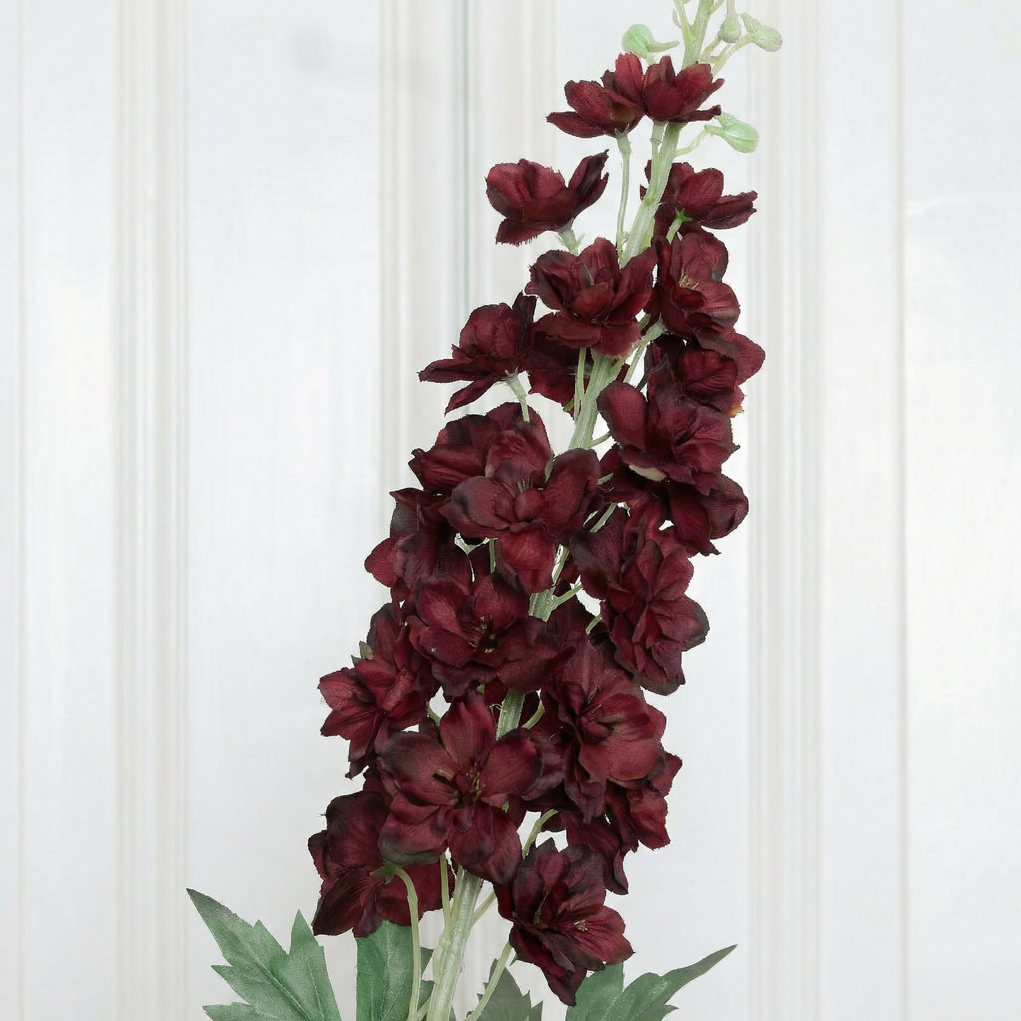 Large Delfinium Ruby Wine
