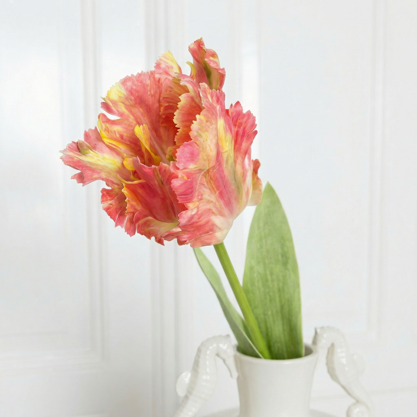Large Parrot Tulip Flower Rose