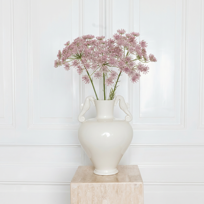 Queen Anne's Lace Flower
