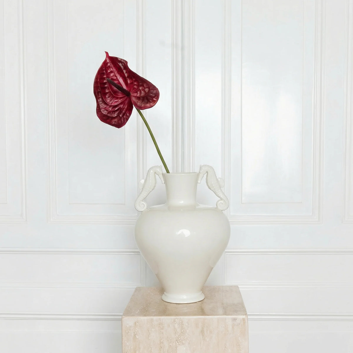 Anthurium Flower Soft