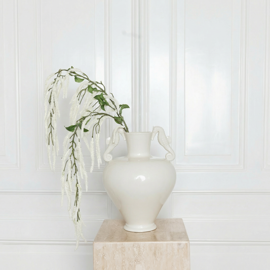 Amaranthus Cruentes Flower White