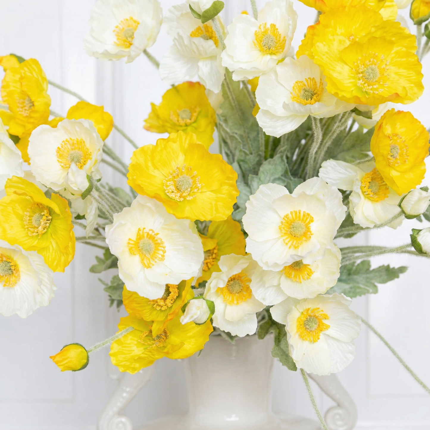 Sunny Side Poppy