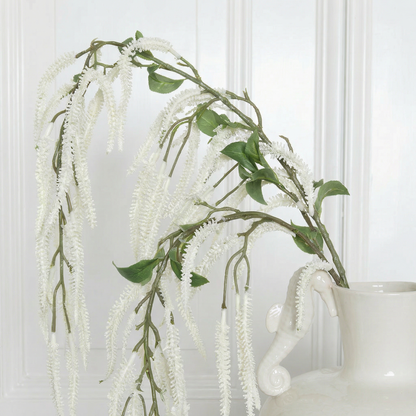Amaranthus Cruentes Flower White