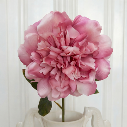Medium Peony Flower Pink