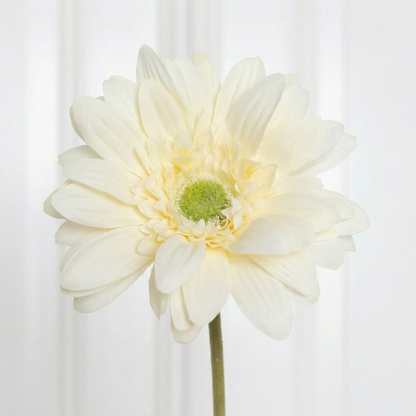 Gerbera Flower Light Yellow