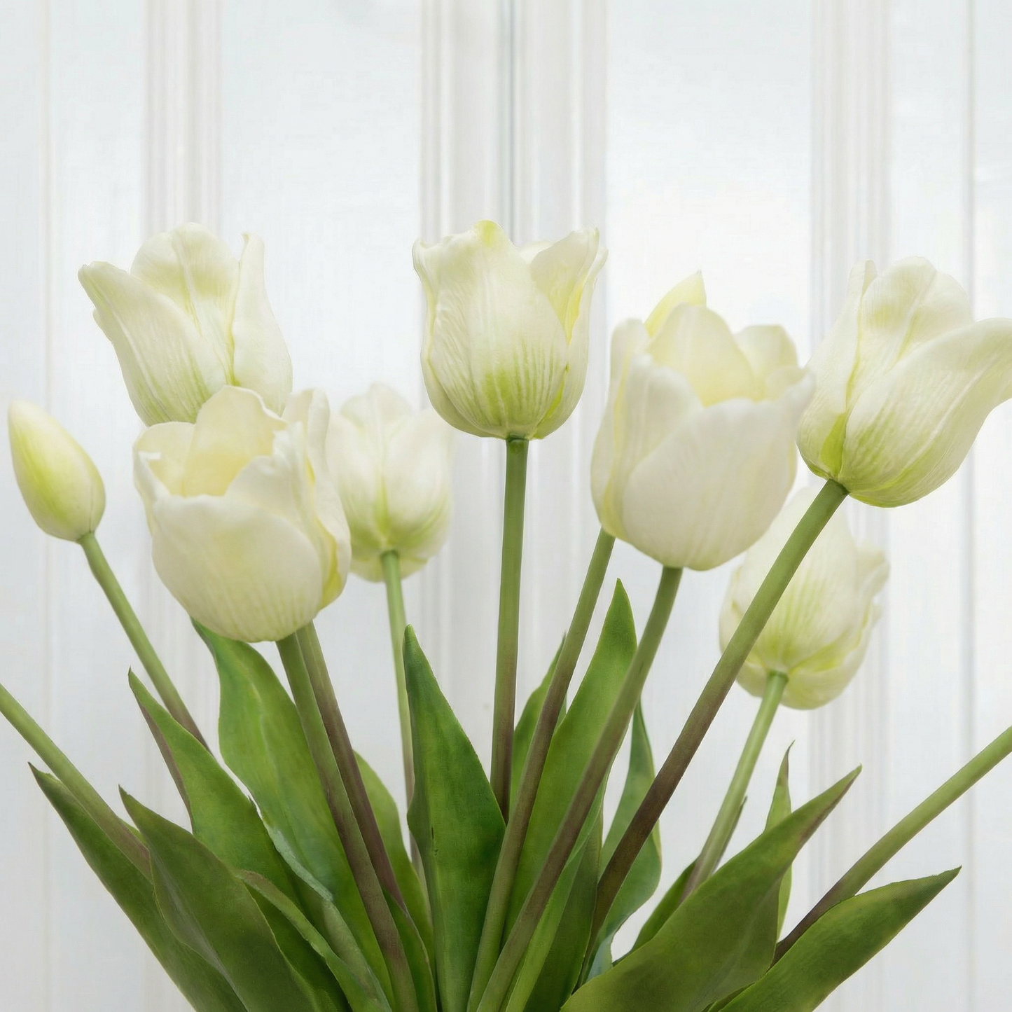 Tulip Triumph Bouquet White