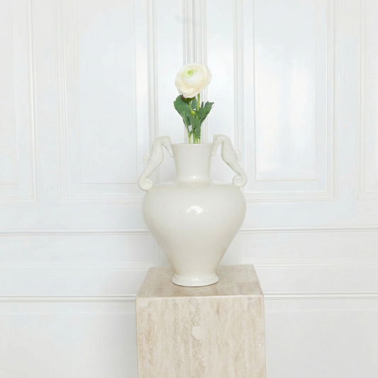 Ranunculus Flower White