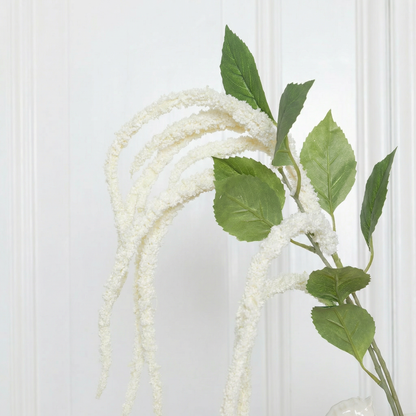 Amaranthus Three Fork White