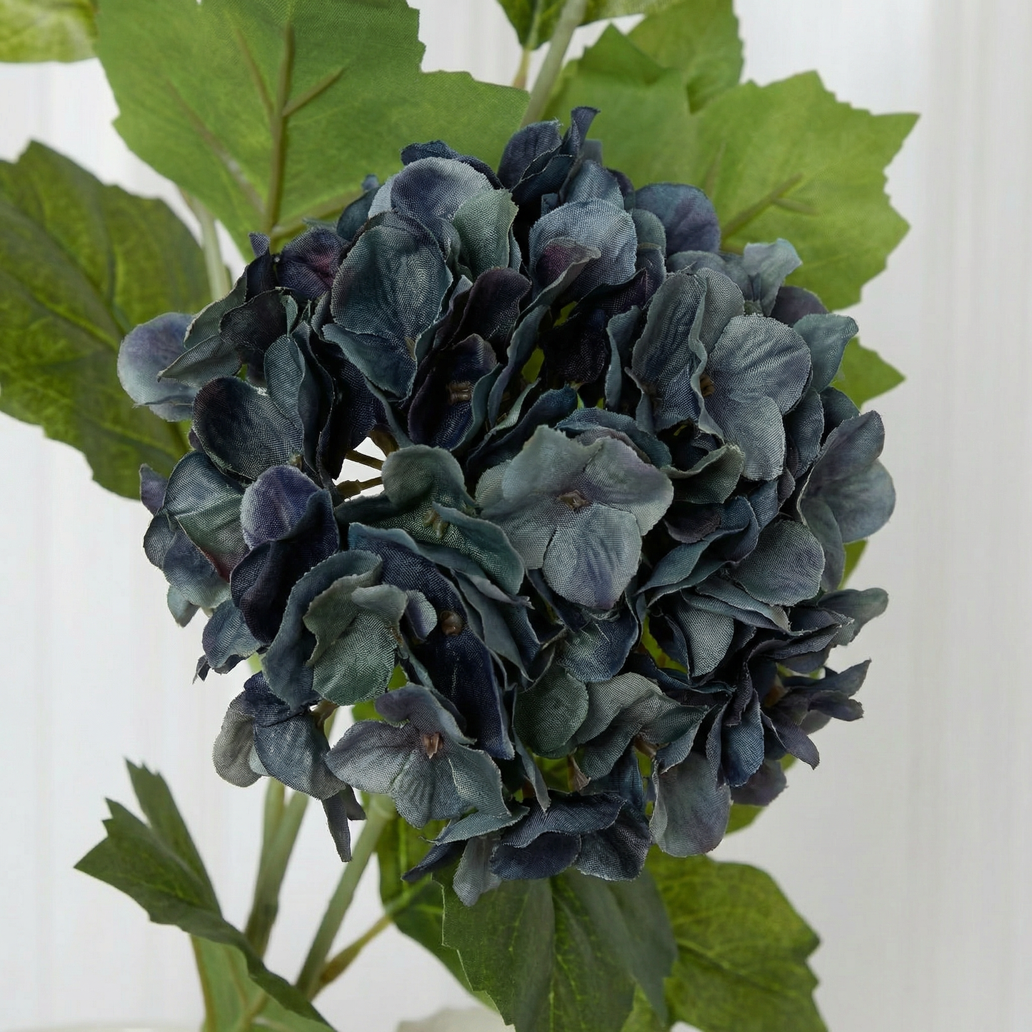 Hydrangea Snowball Dark Blue