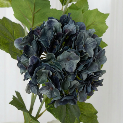 Hydrangea Snowball Dark Blue