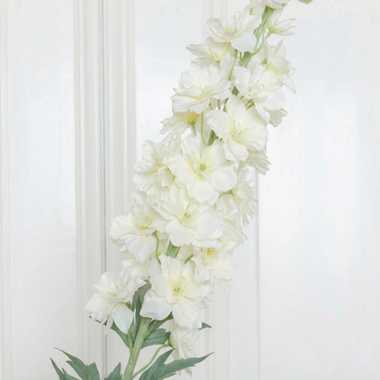 Delphinium Flower Large White