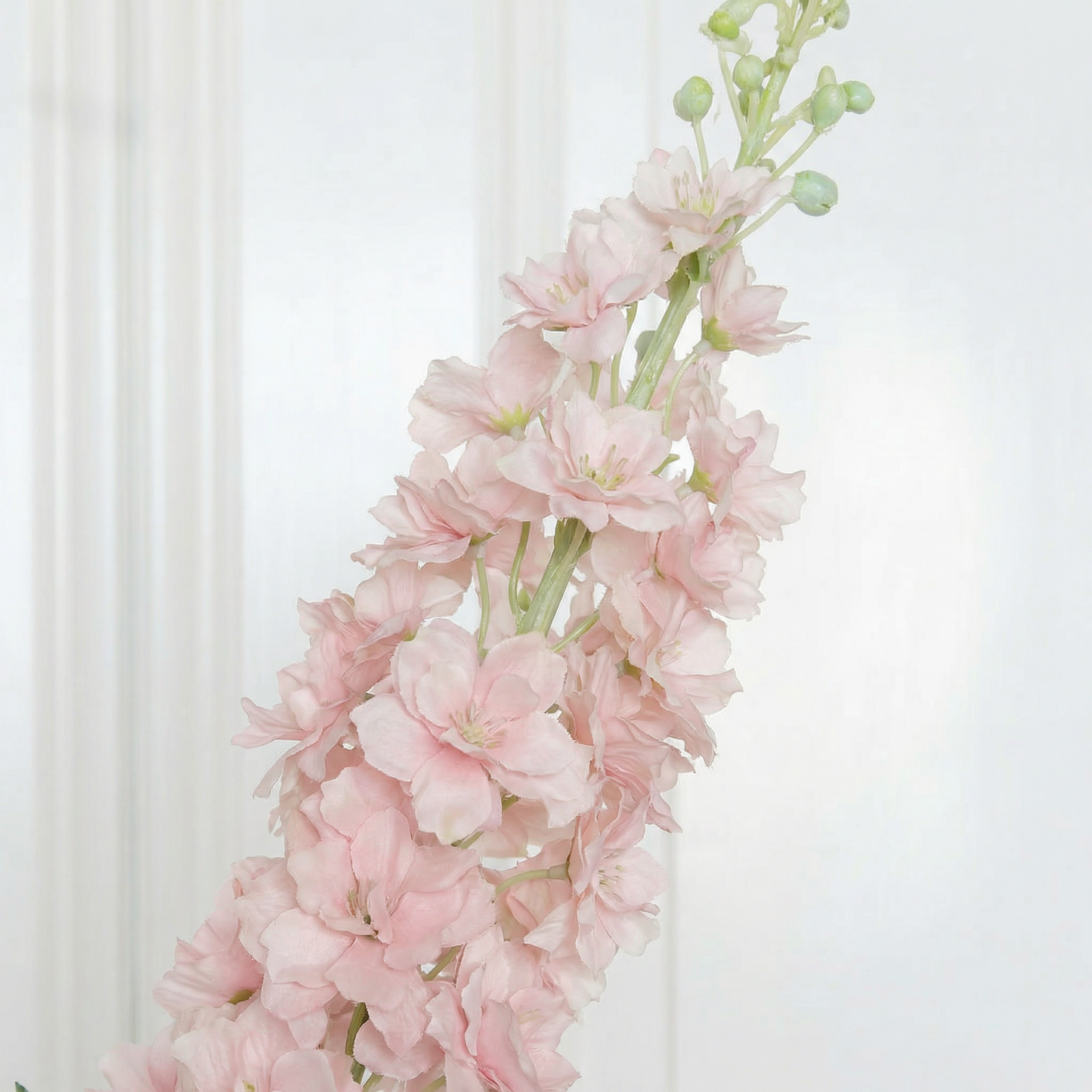 Delphinium Flower Large Pink
