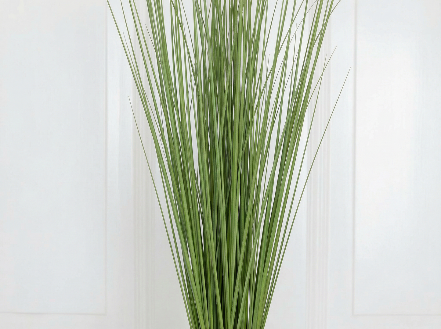 Grass Ornamental Green