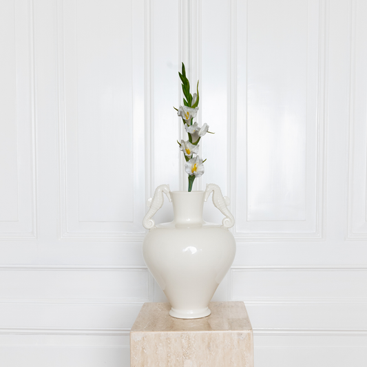 Gladiolus Flower White