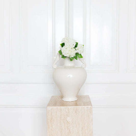 Mini Snowball Hydrangea White