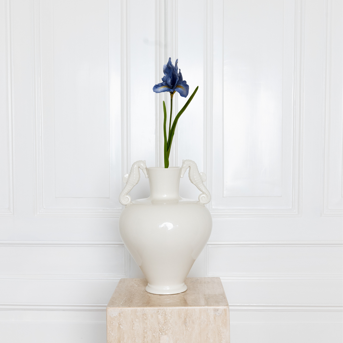 Iris Flower