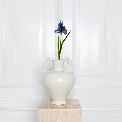 Iris Flower
