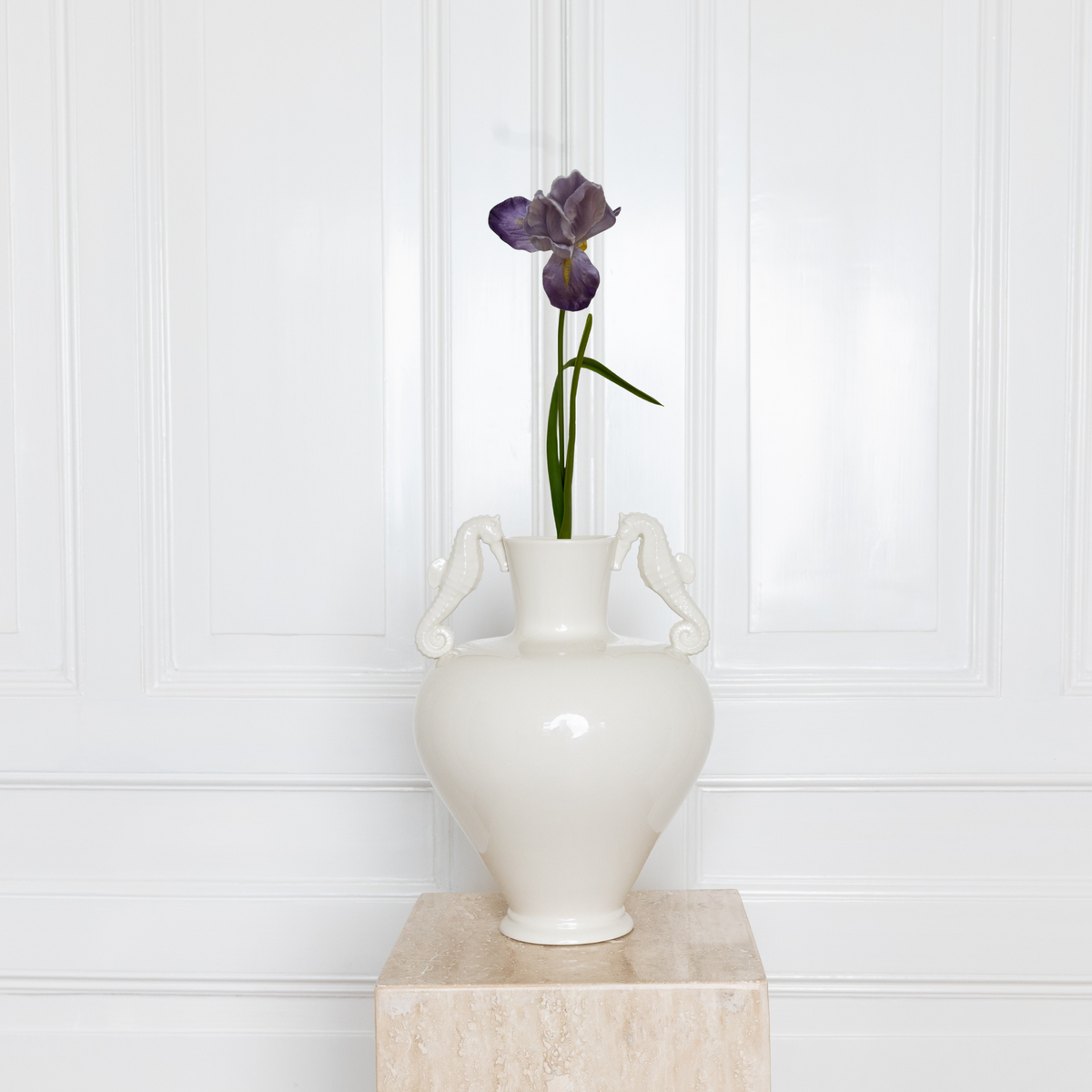 Iris Flower