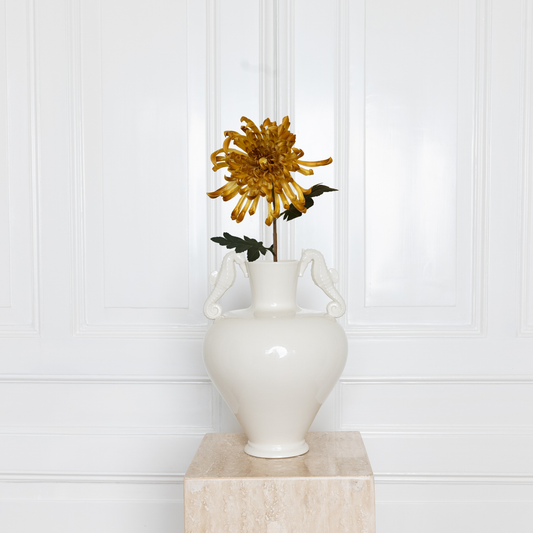 Chrysanthemum Flower Brown