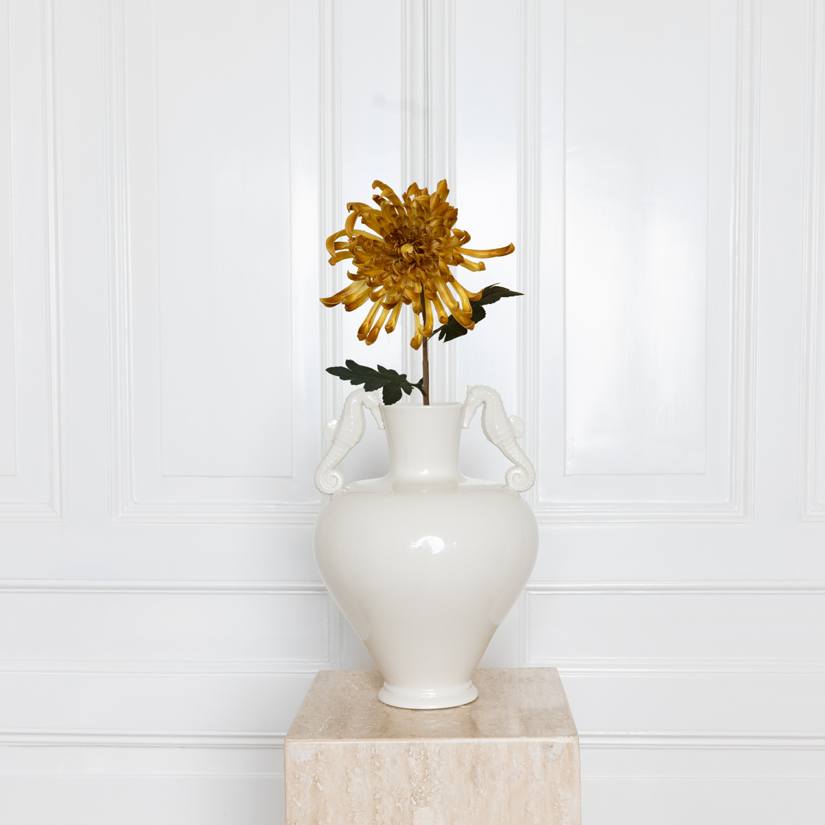 Chrysanthemum Flower