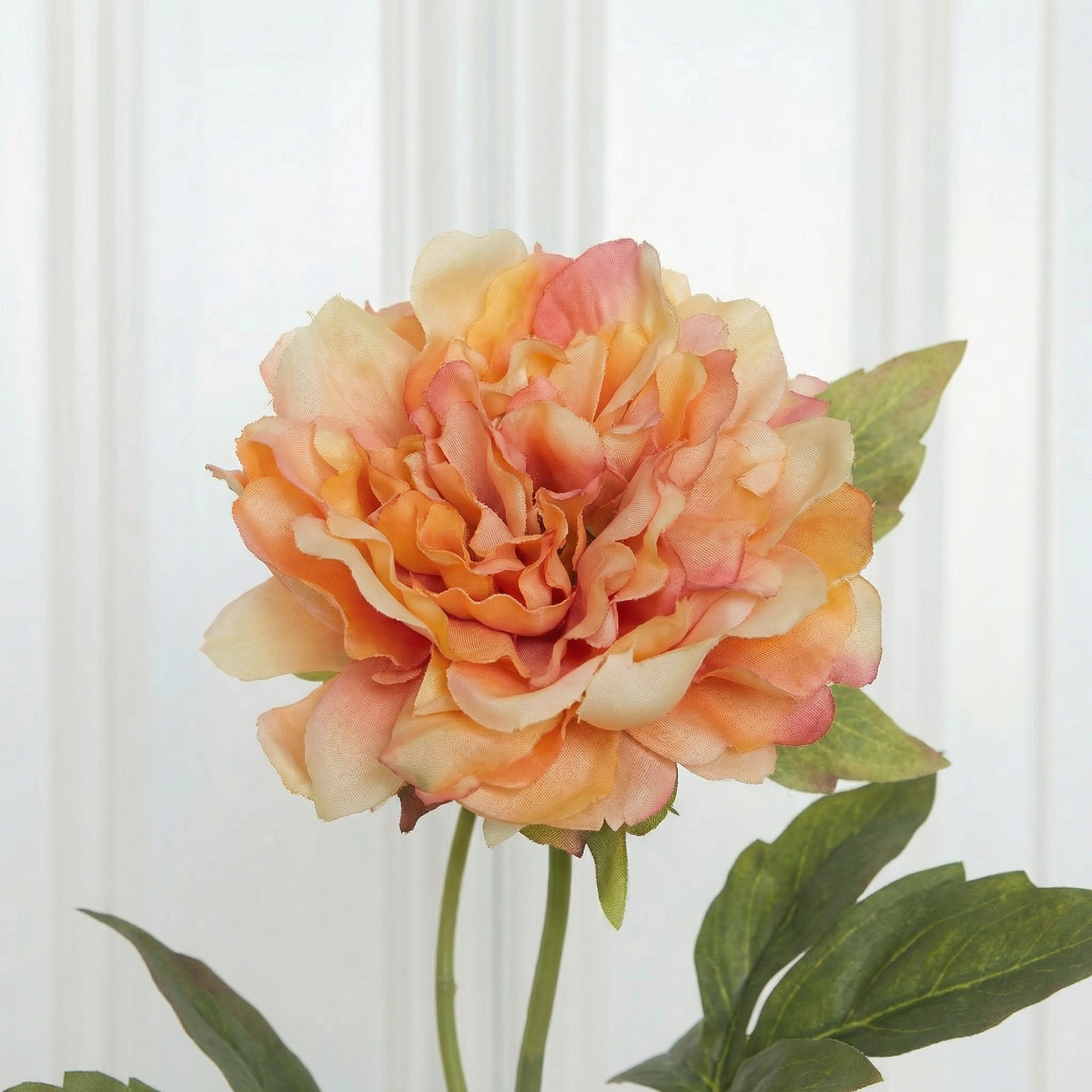 Medium Peony Flower Orange Zoom In