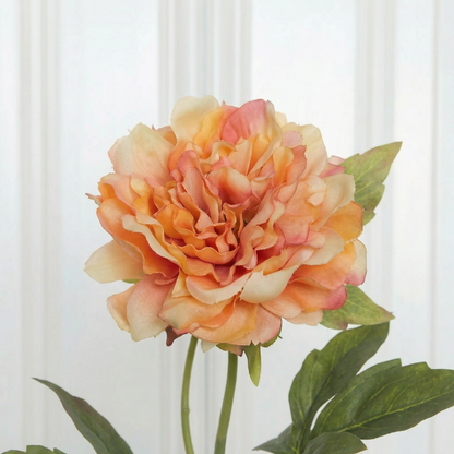 Medium Peony Flower Orange Zoom In